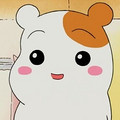 水励绮